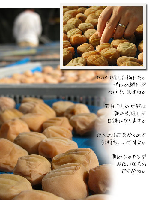 天日干し用のざるの代用品 5選 梅干しの土用干しに最適!!代わりになる代替品を紹介！代用品お探しサイト 困った時に役立つ カワルン