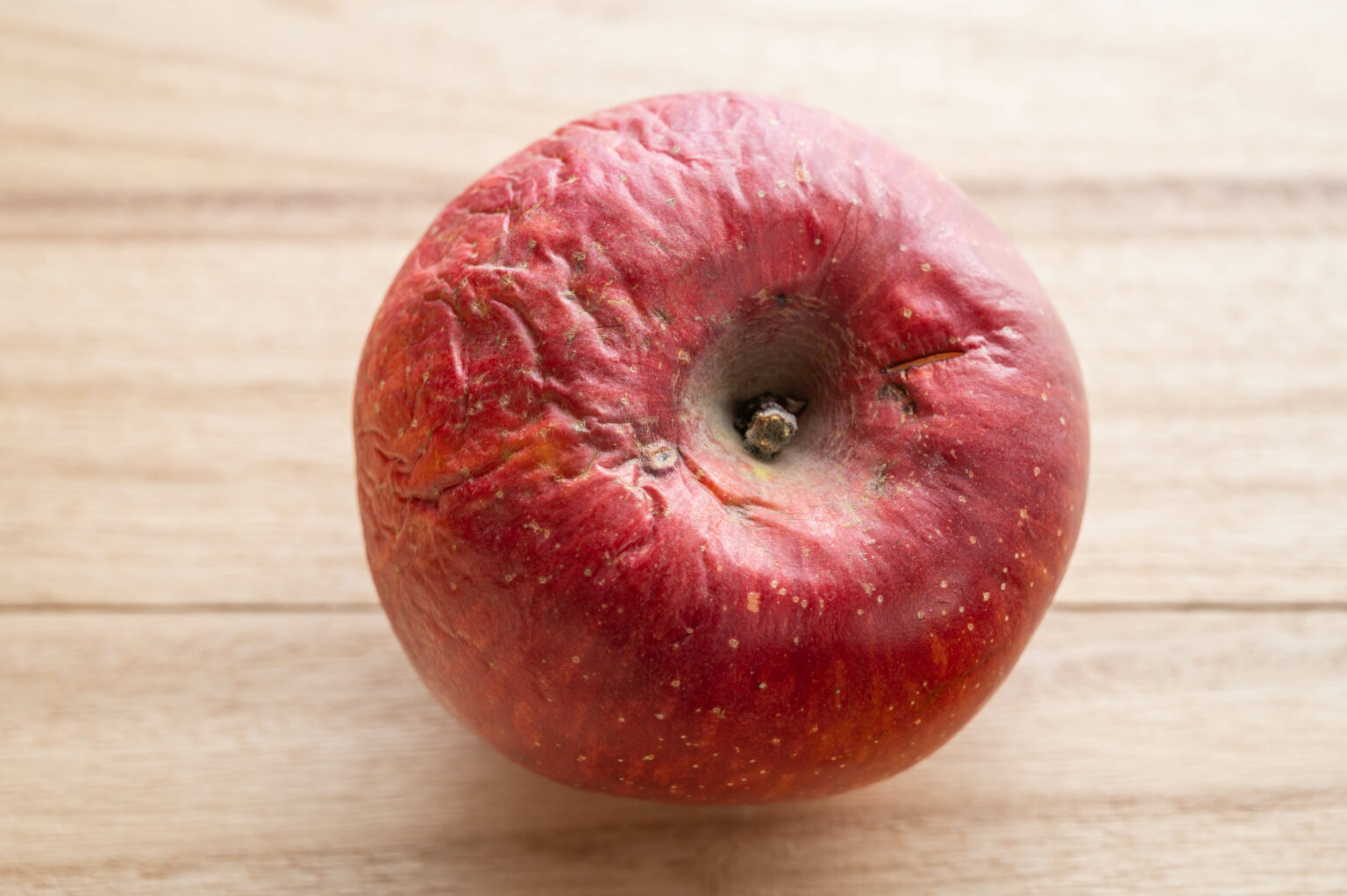 追記有：りんご☆腐っているのか蜜なのか？ 最近のりんごは小さいりんご : wshinchan-next