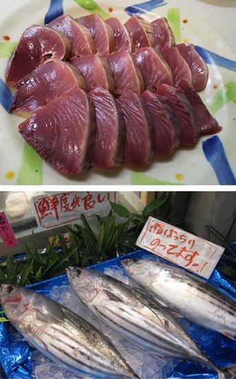 脂たっぷりで絶品！冬の魚に脂が乗っている理由 なるフィッシュ- エキスパート - Yahoo!ニュース