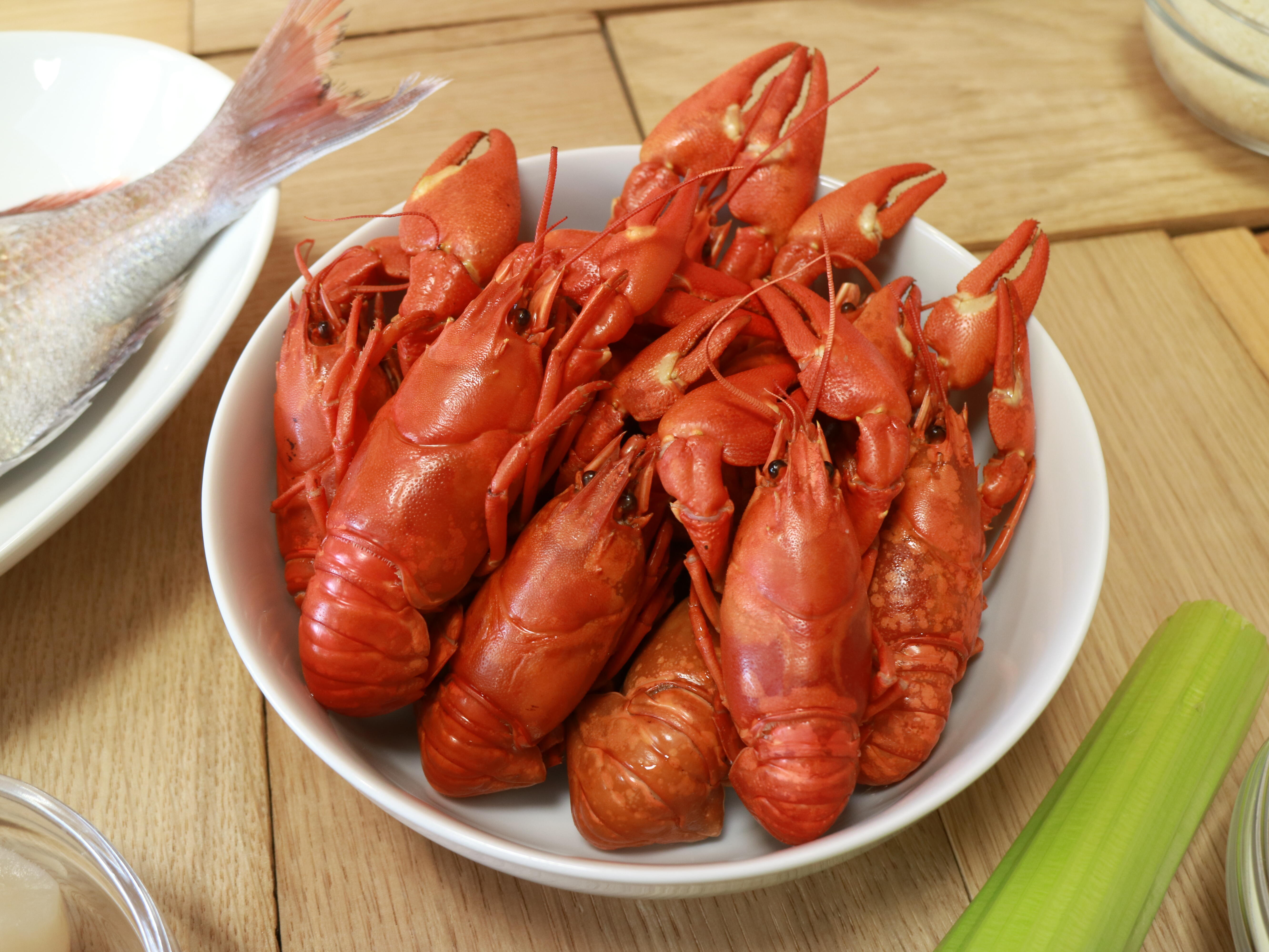 エスコフィエの技 現代の術』銀座フレンチ サラマンジェ