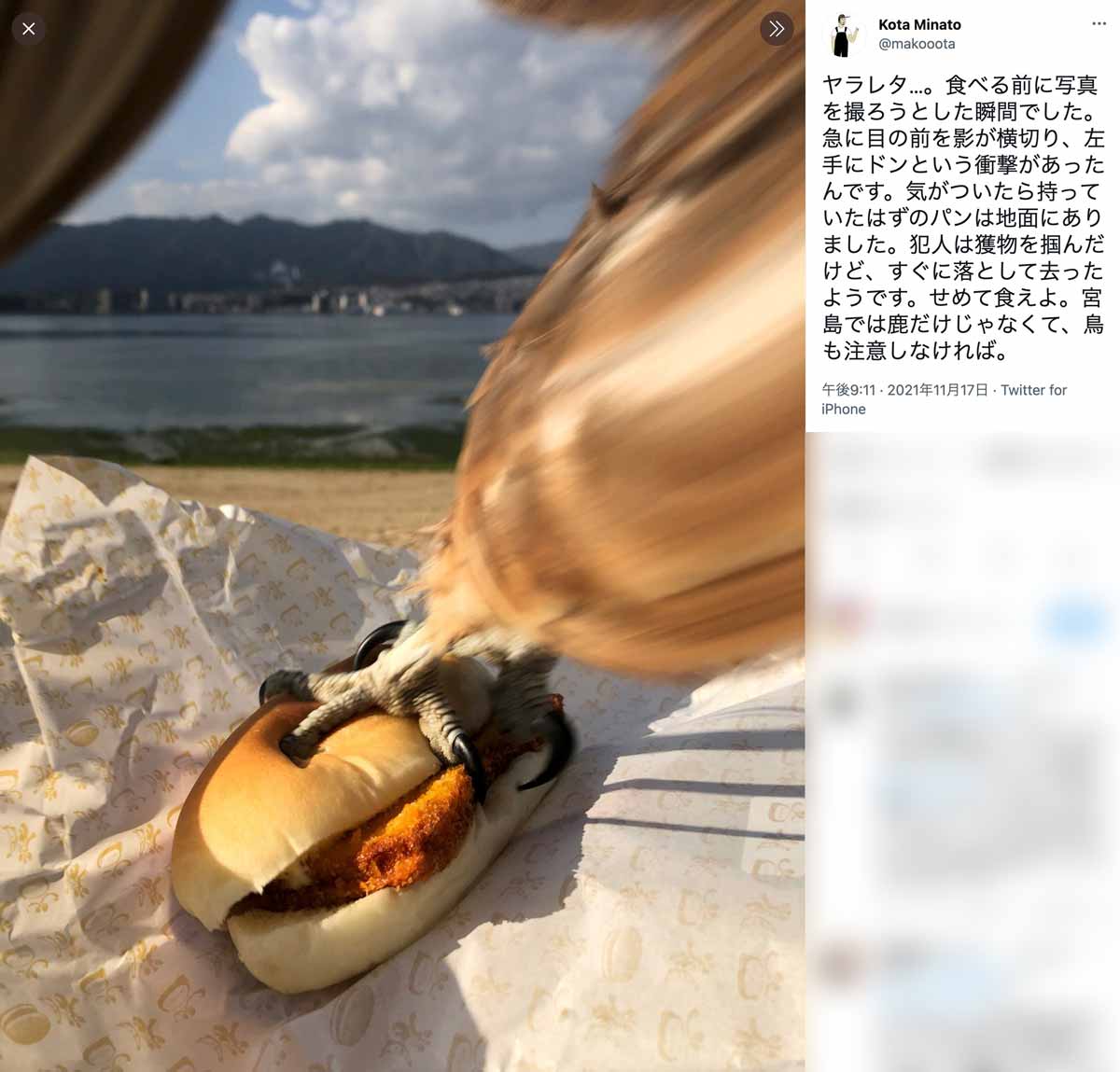 油揚げ - Wikipedia