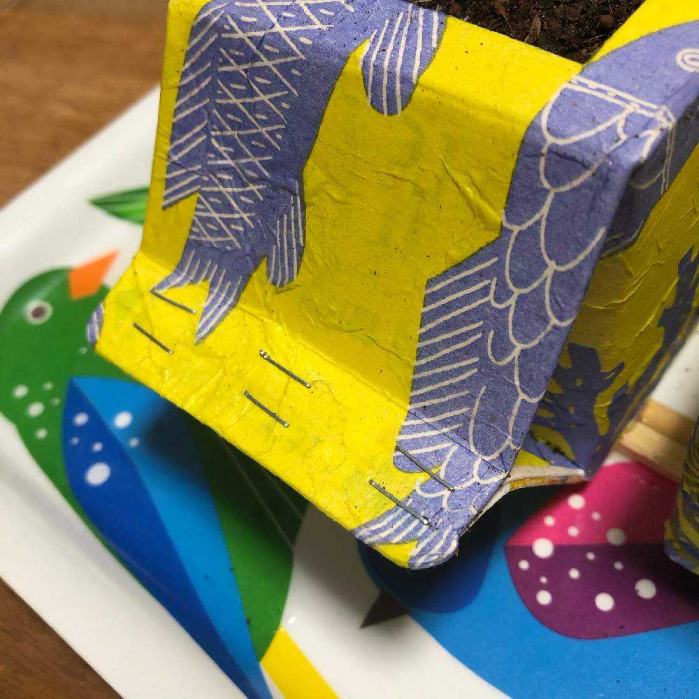 牛乳パックのプランターで野菜が育つよ！子どもと楽しむミニ菜園 - 育児情報誌 miku ミク