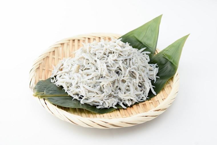 シラスは何の魚かご存知ですか？umito.®