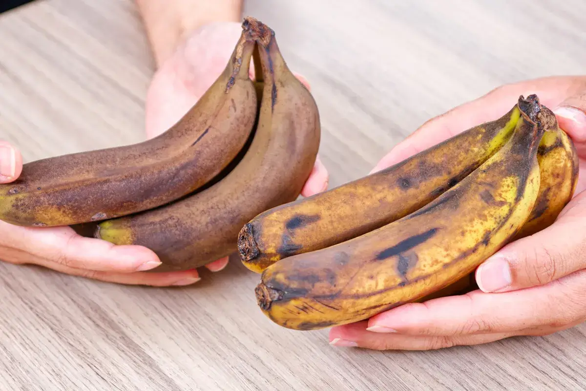バナナ ひと手間加えれば10日ほど長持ち！あの部分をカットするだけ？「バナナの上手な保管方法」ヨガジャーナルオンライン