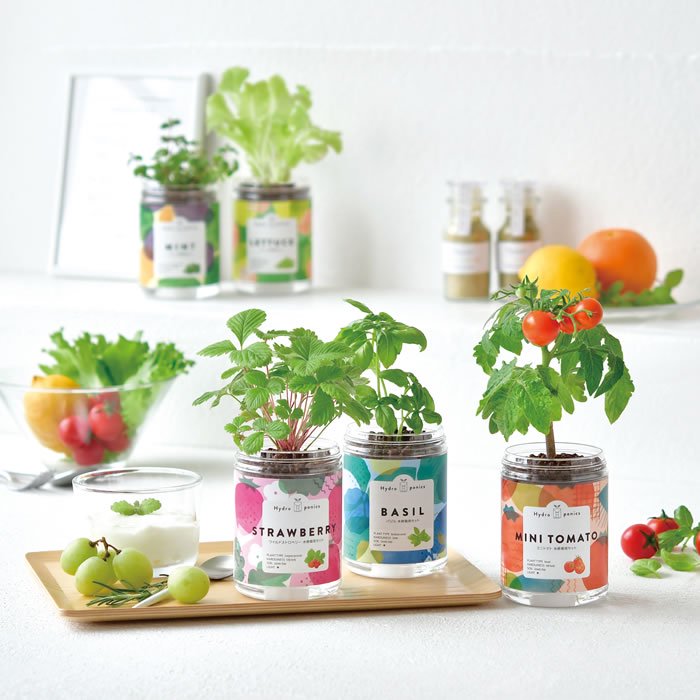 自家製 水耕栽培野菜をご提供しております。オーガニックレストラン＆ベーカリー ボン ブエーノ ボーノBon Bueno Buono