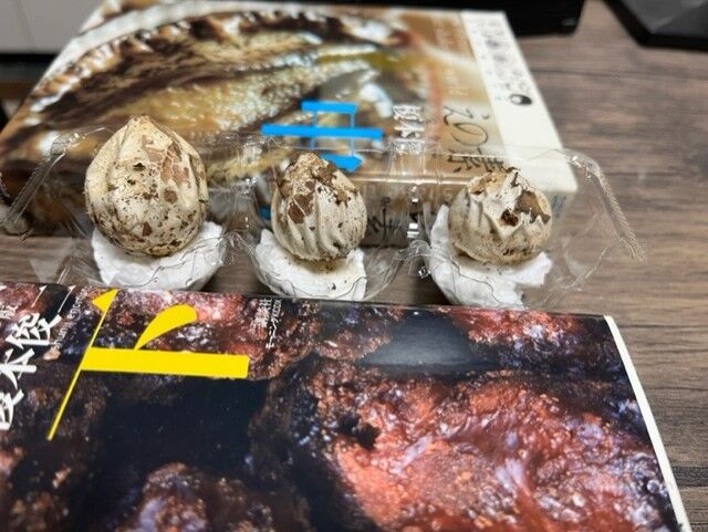 きのこ採取 スッポンタケを採って薬膳スープにしました。干しキヌガサタケ入り