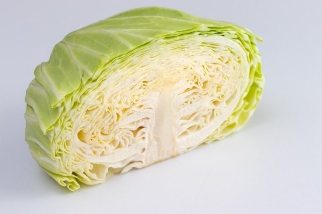 まるごとキャベツの目からウロコな切り方 千切りがラク！白くて固い芯を簡単に分けられる！便利な冷凍&冷蔵ストック作り。ゆるっとぴたっと