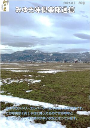 国産米 複数原料米 田んぼからの便り & 彩りごはん 5kg×2 セット