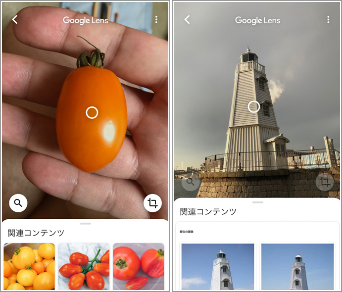 野菜の検索結果さしすせそざい