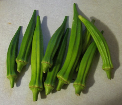 黒岩さん家のオクラ 1.5kg 1.5キロ オクラ 国産 おくら 国産オクラ 新鮮野菜 美味しい 野菜 厳選 新鮮 おかず 常温 配送 副菜 惣菜煮物 朝どれ 詰め合わせ 取り寄せ グルメ お取り寄せグルメ お取り寄せ サラダ ふるさとのうぜい 返礼品 高知県 高知 6000円高知県田野町