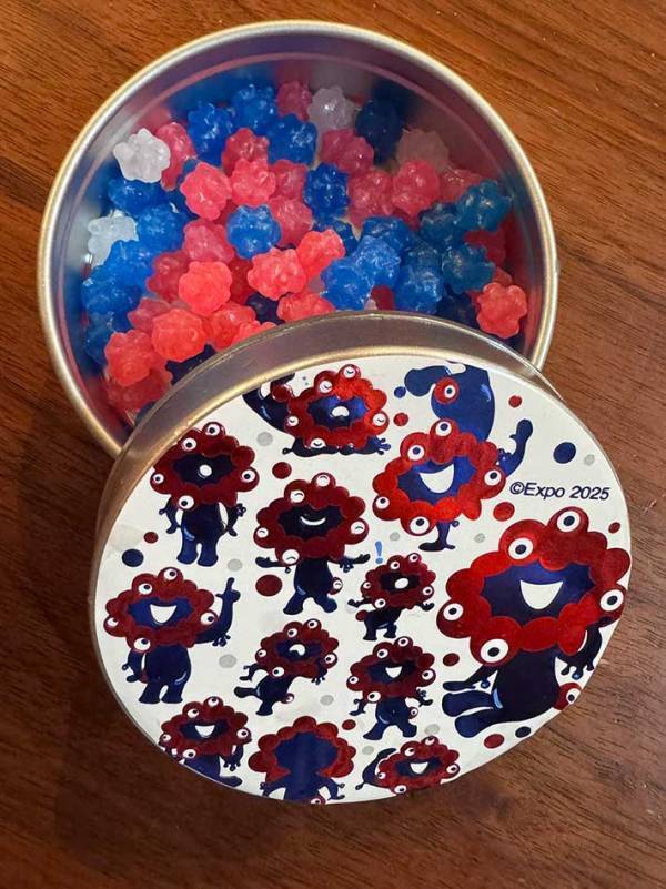 2025最新 10代女子に聞いた！好きなお菓子ランキングTOP20♡