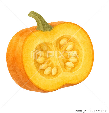 カボチャ＾＾＾＾かずきともみ さんのイラスト - ニコニコ静画 イラスト