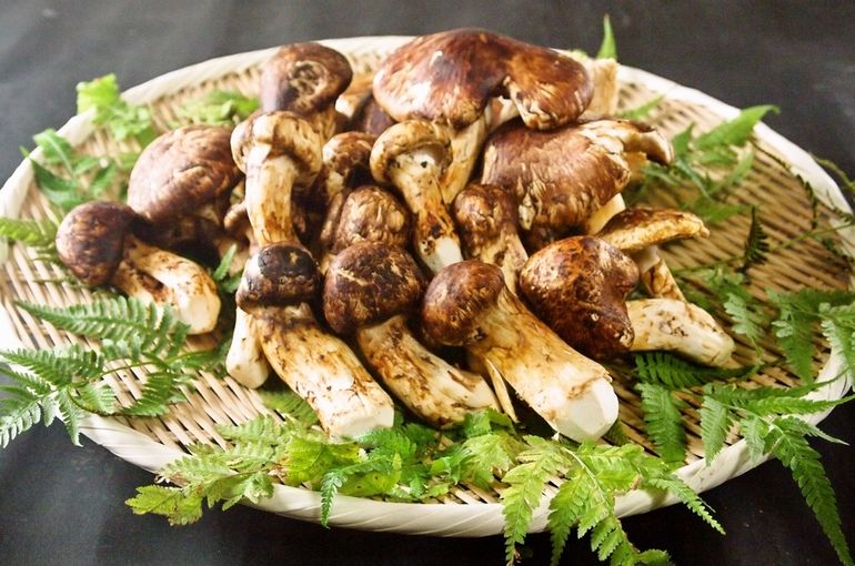 秋の味覚の供宴 甲羅本店 が「かにと松茸フェア」を9 5 金 より開催！旬の食材を使ったお得な御膳やランチもご用意！株式会社甲羅のプレスリリース