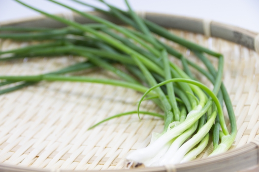 簡単にプランター栽培できる薬味王『わけぎ』何回も収穫可能！: さいたま大宮ぷらっと