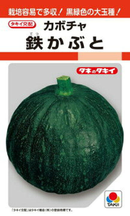 小さくて可愛い、粒ぞろいのメロンキュウリハーブのドクターボー 軽井沢ほっち園・安中さぎのみや園