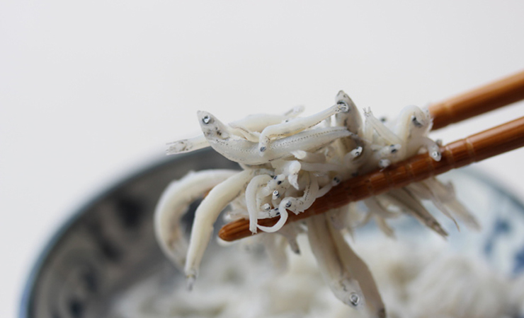 三浦市のスーパーで販売のシラスにフグ稚魚混入 食べるとしびれるおそれ、自主回収進める47NEWS よんななニュース