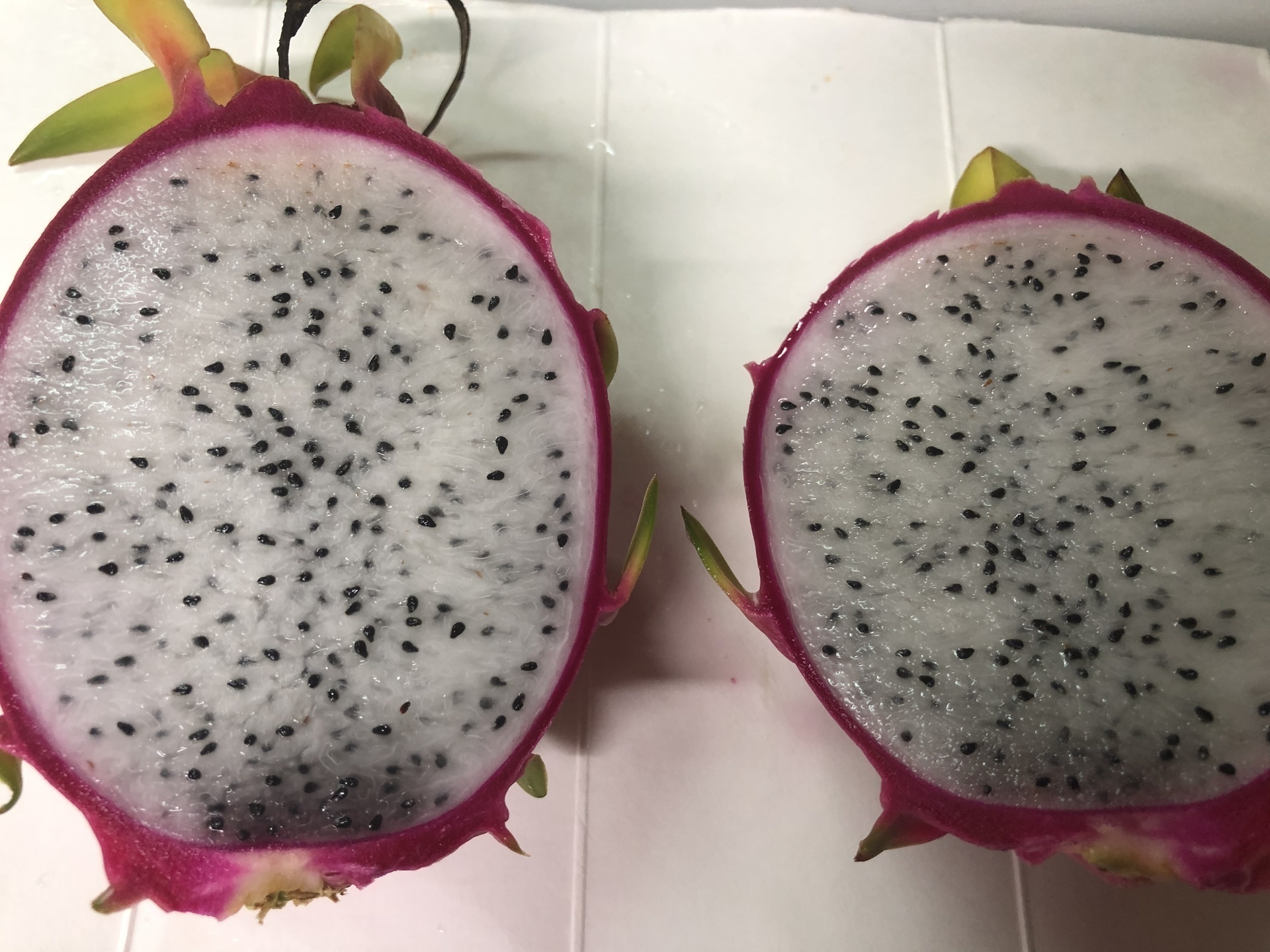 ドラゴンフルーツ ドラゴン フルーツ 果物 南国 南の島 鮮やか ピンク 緑 グリーン 美味しい おいしい たべもの デザート カット 白 種プツプツ ブツブツ たね ホワイト 黒い種 黒 ブラック - No: 5072217写真素材なら「写真AC」無料 フリー ダウンロードOK