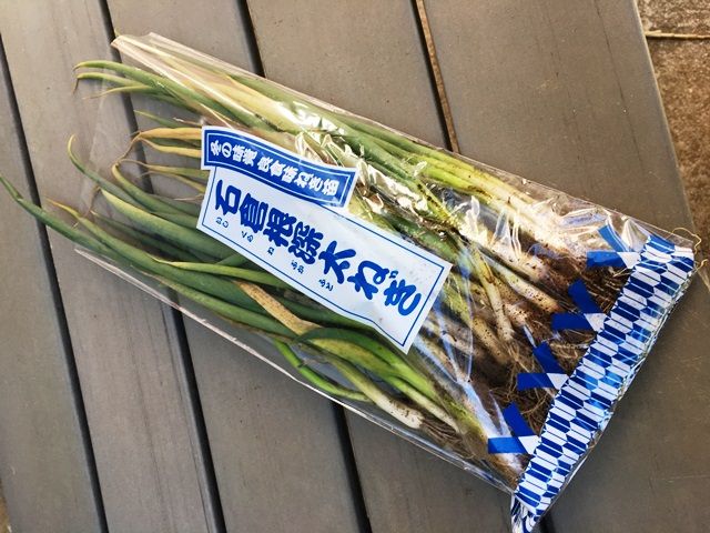 楽天市場 白ねぎ 長ネギ・根深1束 2〜3本1箱 約300g×10束内容量が選べる＜大分・九州産＞ : 大津留青果
