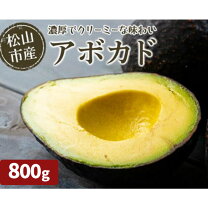 訳ありアボカド 約800g 4～7個野菜 アボカド 新鮮 アボカド 国産 アボカド 愛媛県 松山市産 アボカド 果物 サラダ サーモンユッケ AS004愛媛県松山市ふるさと納税サイト「ふるなび」