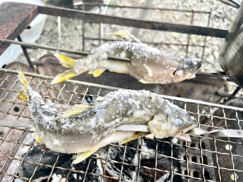虹鱒 ニジマス の塩焼きを食べたい！包丁を使わずに美味しく仕上げるコツ