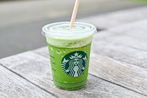 スタバ新作・2024 濃厚な抹茶の風味を堪能♪「抹茶フード」春らしいスイーツに宇治抹茶チーズケーキが登場！ドーナツやあんバターサンドも抹茶 味に！るるぶ&more