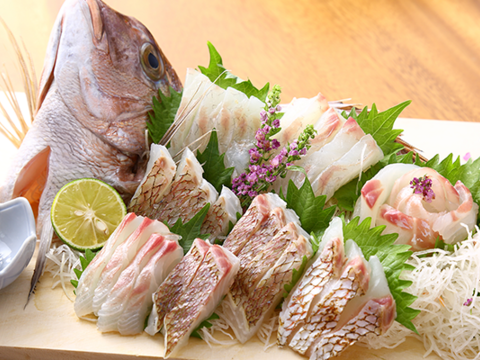 鯛の種類ってどれだけ？！代表的な24種の特徴の違いを解説TSURI HACK 釣りハック