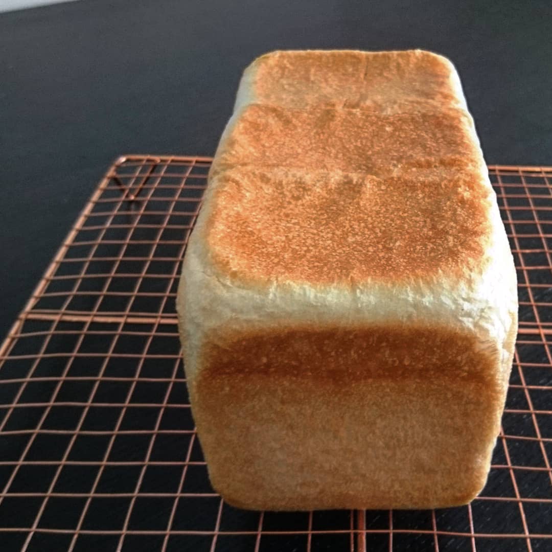 60日間放置しても『食パンにカビが生えない』裏技 アレを一緒に入れるだけ！ – grapeグレイプ