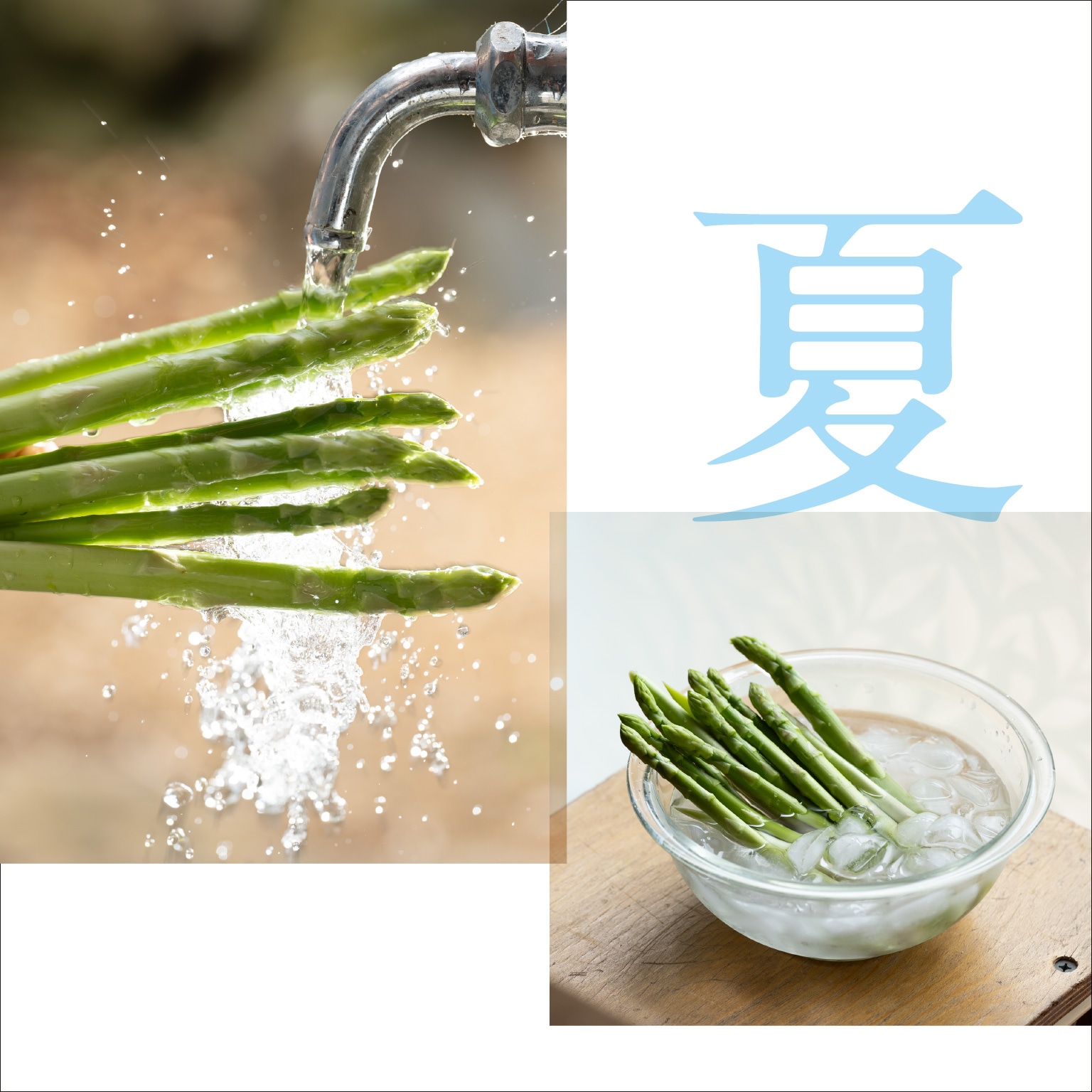 アスパラガスのお話し 美味しく食べて健康に味の農園