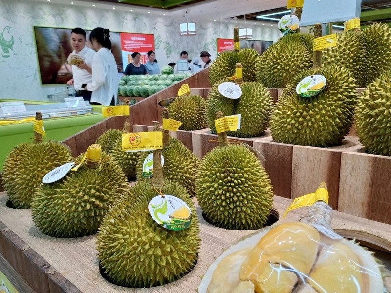 果物の王様「ドリアン」は美味しいの？気になる味と匂い、美味しい食べ方をご紹介します