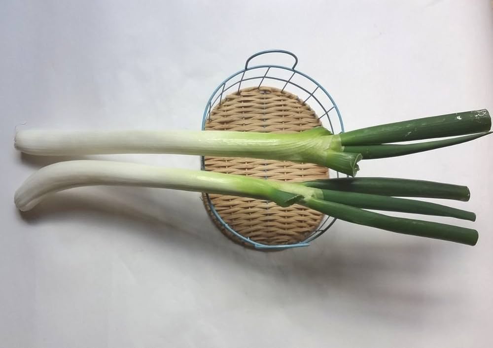 根深ねぎの写真・イラスト素材一覧 10,029件ストックフォトの Qlean Market キュリンマーケット