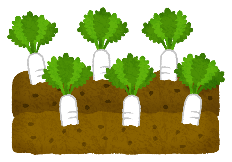 シンプルな大根イラストのフリー素材イラストイメージ