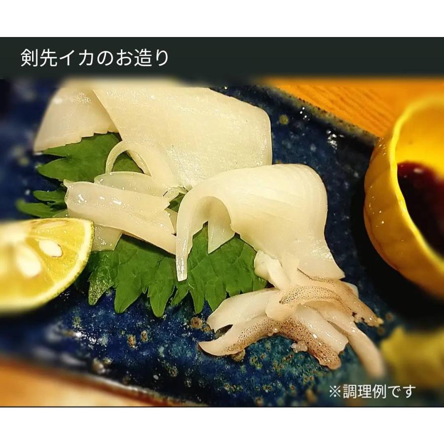 ふるさと納税 残りわずか 鮮度抜群☆京都産 榮元 海工房の京白イカの姿造り 海鮮 魚介類 イカ 白いか 剣先イカ 産地直送 お刺身 特殊冷凍 活きいか京都 丹後 久美浜 ふるさと納税 いかそうめん いか刺身 イカ刺身 いか刺し ふるさと納税 いか 京都 榮元 海工房の京白