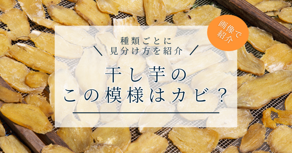 食品のカビは有害か？ 〜気がつかずに食べても大丈夫？じんぶん堂
