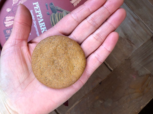 刺激が強い！業務スーパー「ジンジャービスケット」はまずい？味とカロリー、糖質は！ 口コミ- アウトサイド シーナ