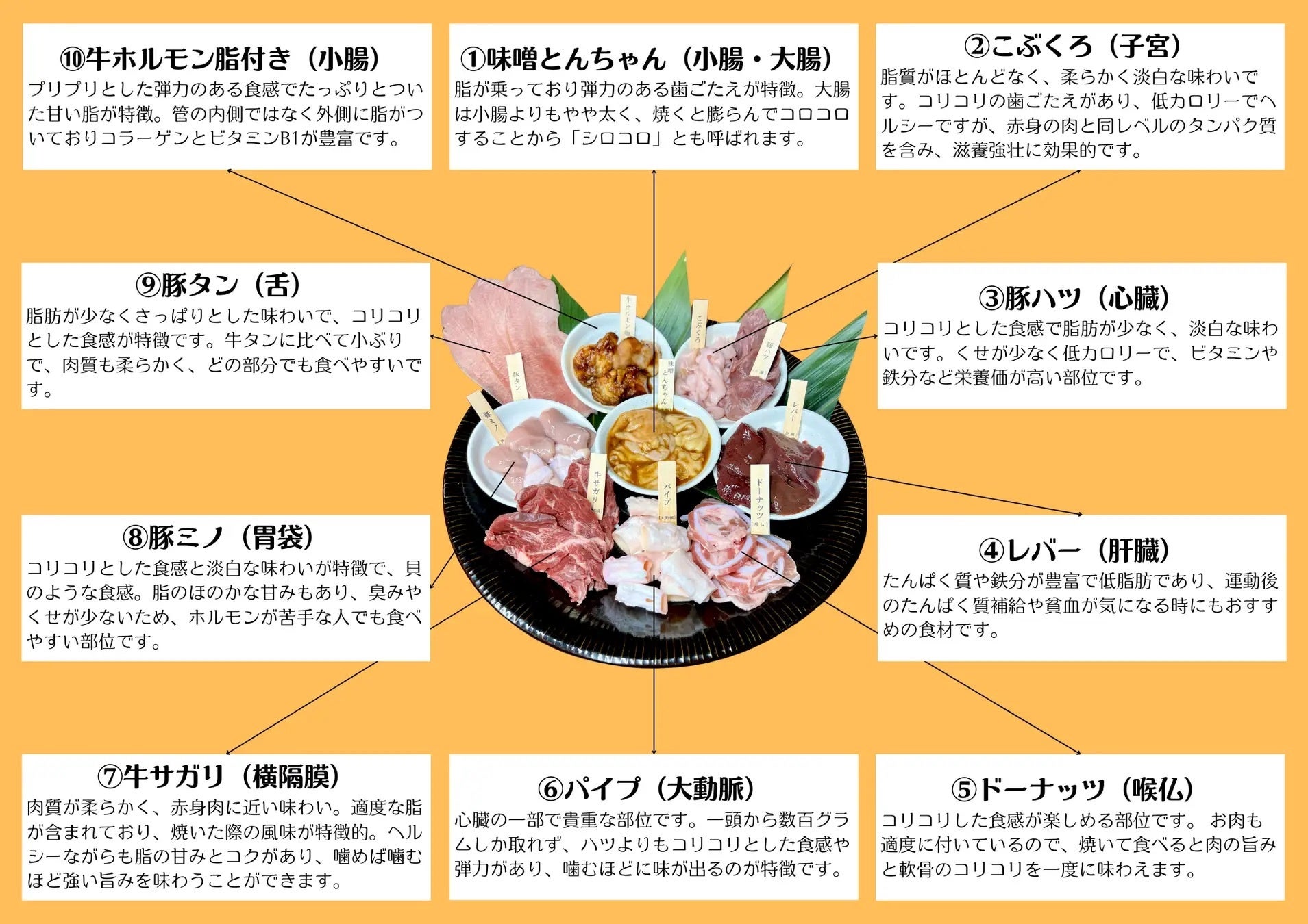 お酒のおつまみに 豚ガツ刺し