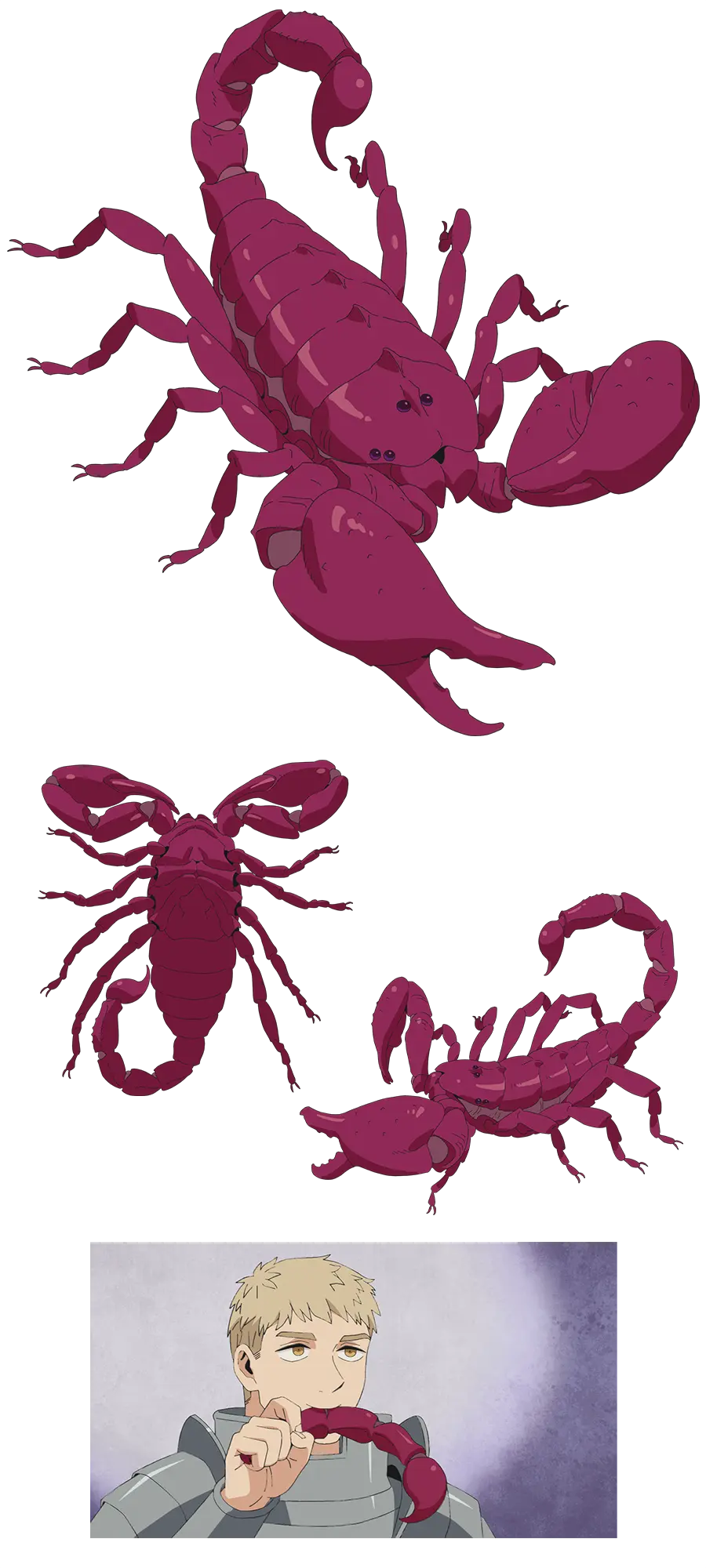 モンスターイーター -ダンジョン飯 ボードゲーム- - Engames Shop