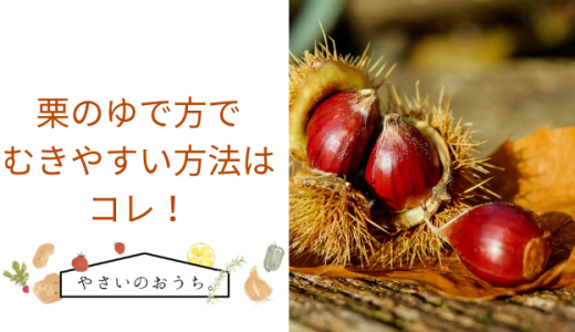 冷蔵・冷凍で変わる！野菜の賞味期限と保存期間を長持ちさせるポイントサステナブル野菜生活