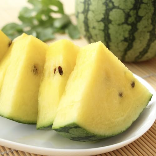 黄色い食べ物 神田 miyakoSnapdish スナップディッシュID:CCWiHa