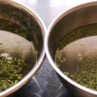 ピリッと爽やかな 実山椒の佃煮by mieuxkanonクックパッド簡単おいしいみんなのレシピが392万品