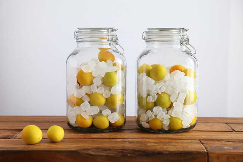 すぐ作れる 梅酒の梅で梅ジャムと梅味噌を作ろう! 同時に作れて料理にいろいろ使える! 梅酒の梅再利用 梅大量消費 - YouTube