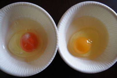 身近な疑問 「卵」の殻の色や黄身の色の違いって何か知ってる？ 画像2 2- レタスクラブ