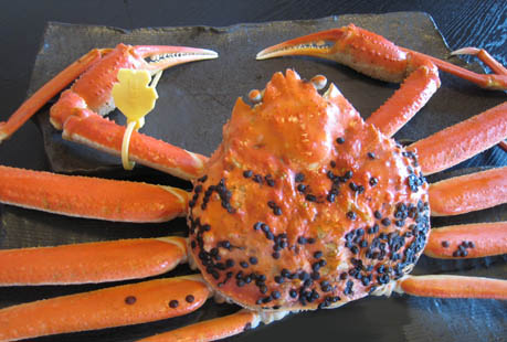 カニの甲羅にある黒い粒の正体shortsへんないきものチャンネル