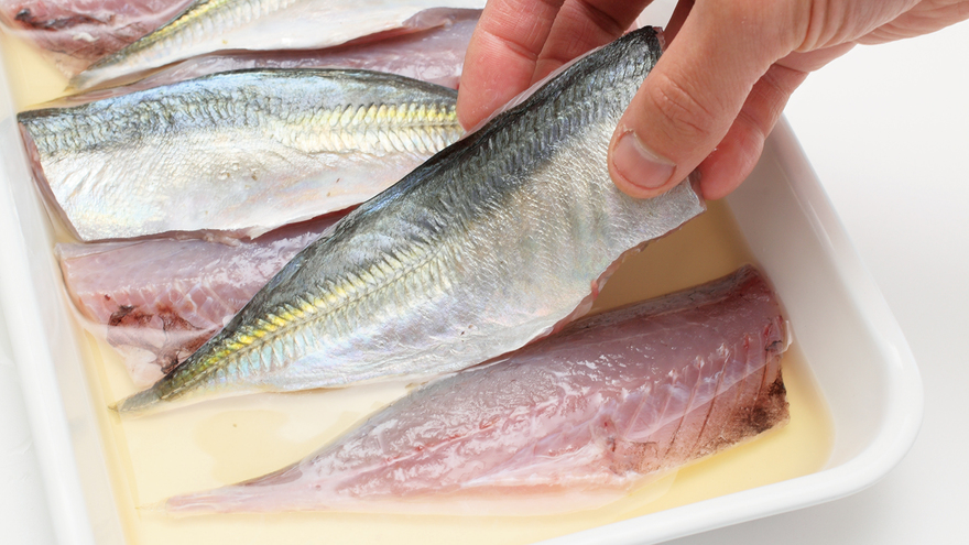 鯵のきずしの作り方 - 魚屋日記