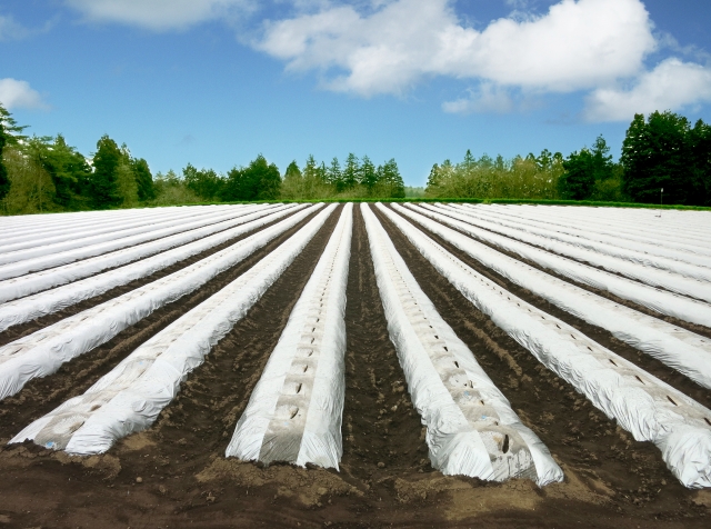 目指す経営ビジョンの明確化 - 農なび青森