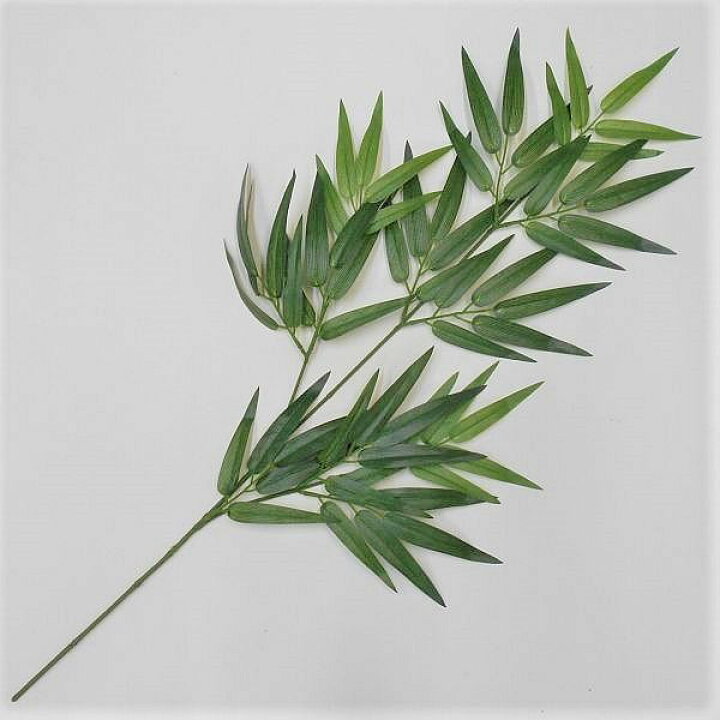 今買うべき映え土産 パンダのパッケージが可愛すぎる！新潟県「笹だんごパン」TABIZINE～人生に旅心を～