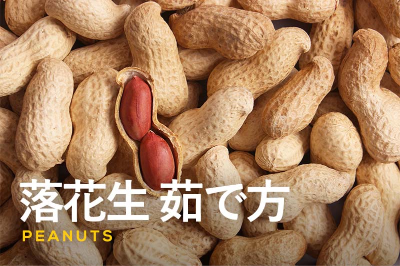 狭い庭でラッカセイ収穫 絶品！！とれたて生落花生の茹で方！！収穫後10分で調理開始で「めちゃウマ落花生」