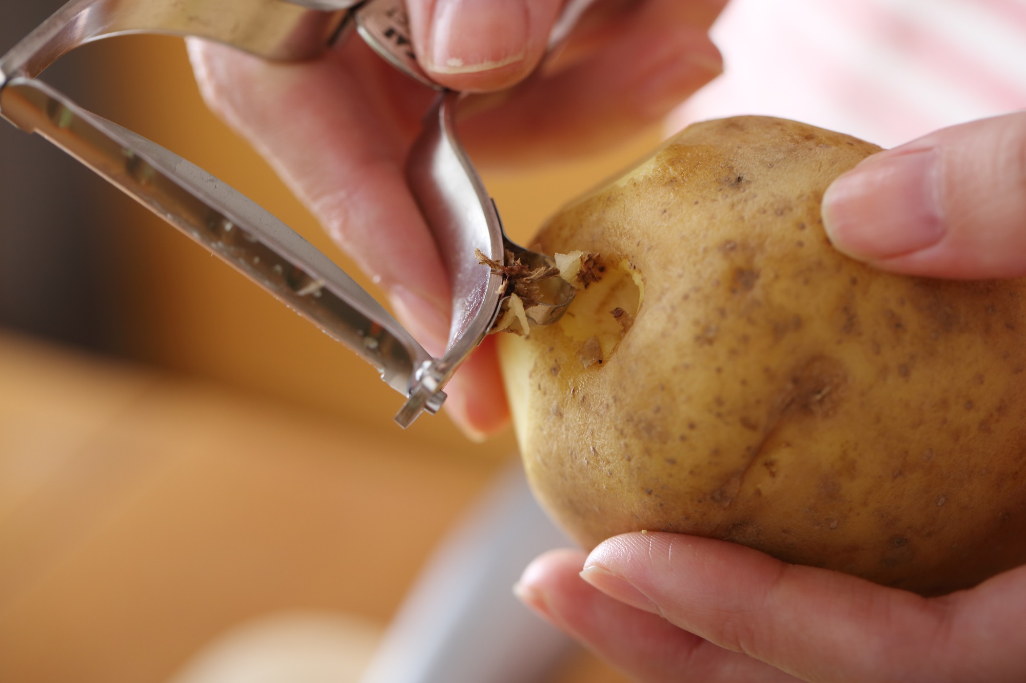 芽が出た野菜 どうしよう！正しい処理と保存方法をご紹介します。キナリノ