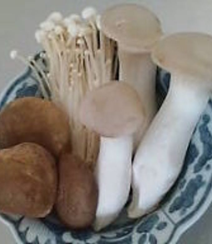 きのこは洗う必要ない？ 洗ったほうがいい場合の洗い方や冷凍保存方法HugKum はぐくむ