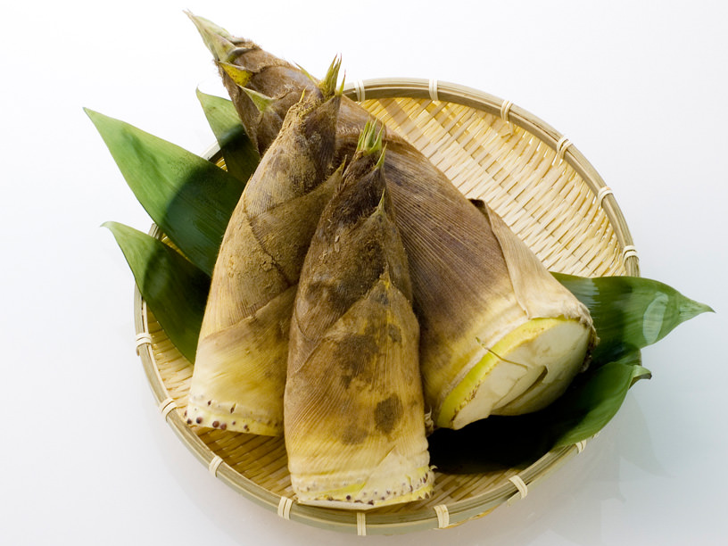 普通のたけのこと白子筍は何が違う？二つの違いや白子筍の特徴 - 京都辻農園