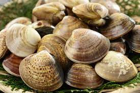 冷凍はまぐりのお吸い物レシピ